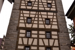 dsc_0490